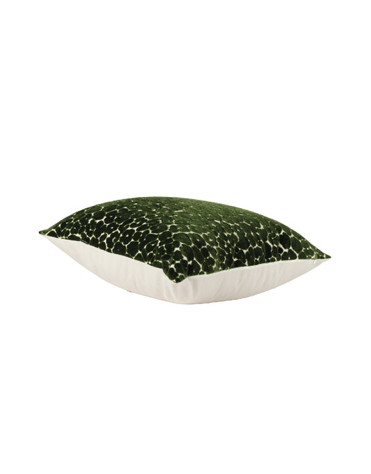 COJIN CHAVA PARSLEY